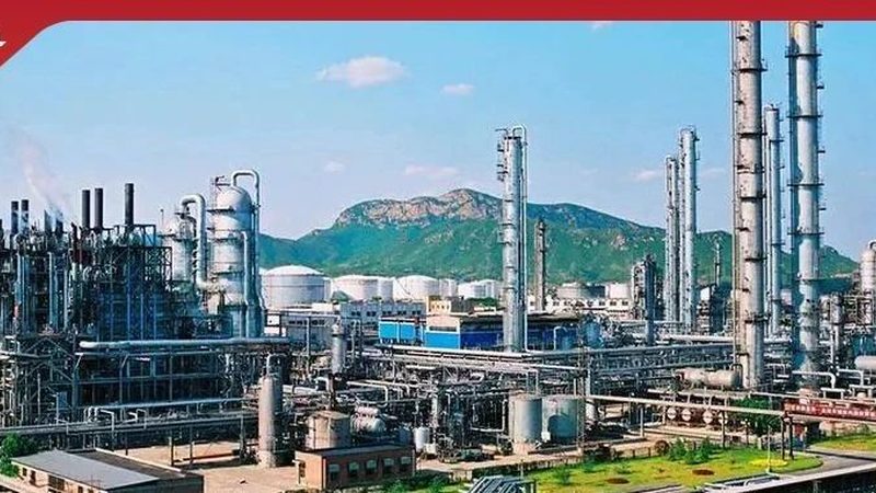 饲料防腐剂厂家资质要求：合规之路，安全之基